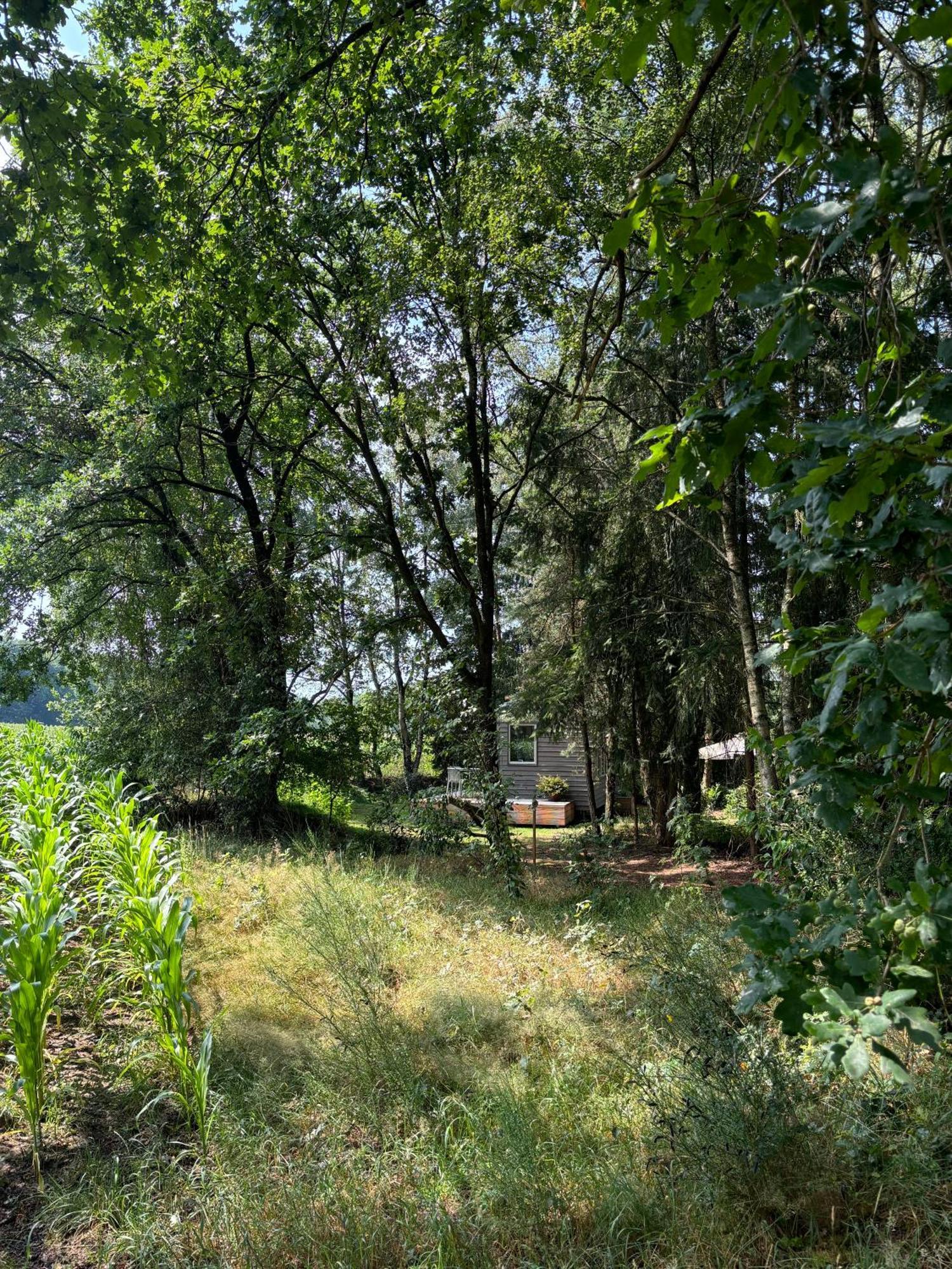 סולטאו Tiny House Mit Garten In Der Lueneburger Heide מראה חיצוני תמונה